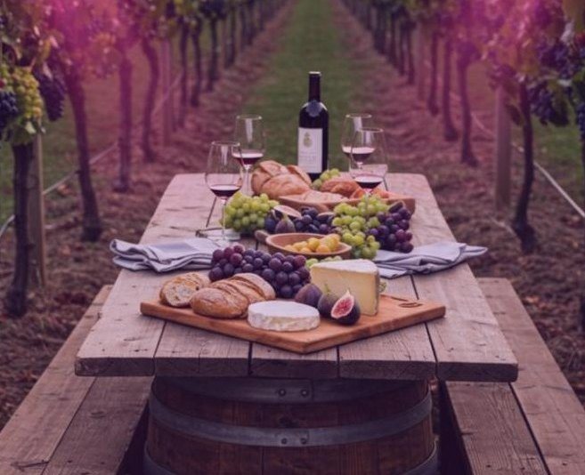 A long table laid among the vines